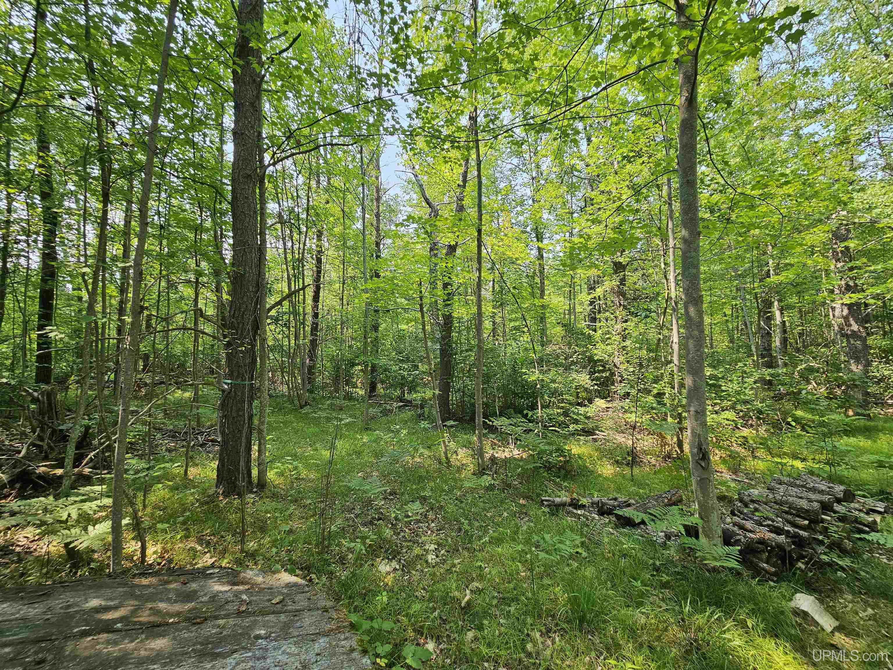 W10780 Blueberry Point Road Dunbar, WI 54119 - Photo 8 of 26 Gallery Image 8