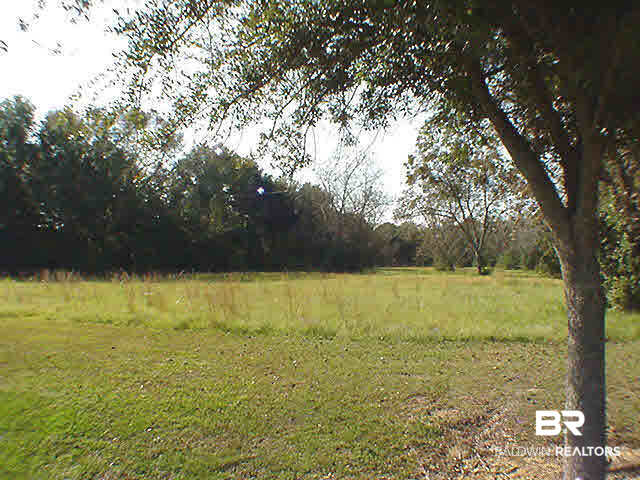 303 Greeno Road Fairhope, AL 36532 - Photo 7 of 9 Acreage