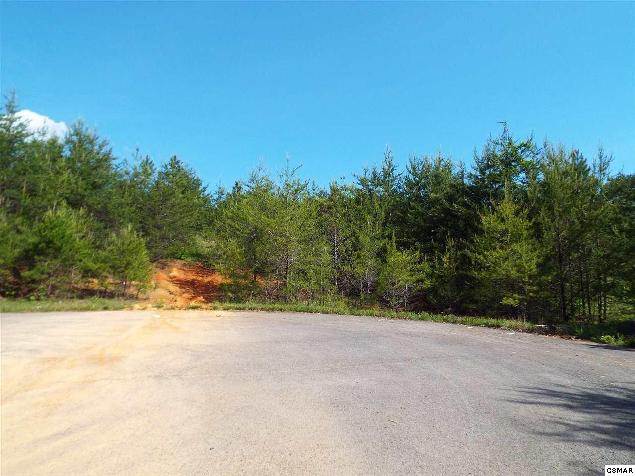 14 McGaha Chapel Road Newport, TN 37821 - Photo 12 of 15 a view of a yard with a house