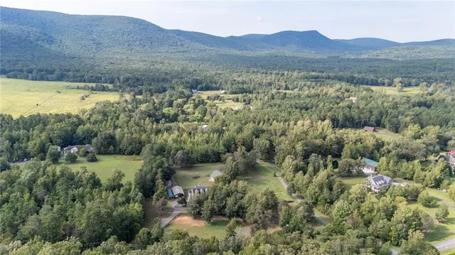 a view of a forest with mountains in the background
