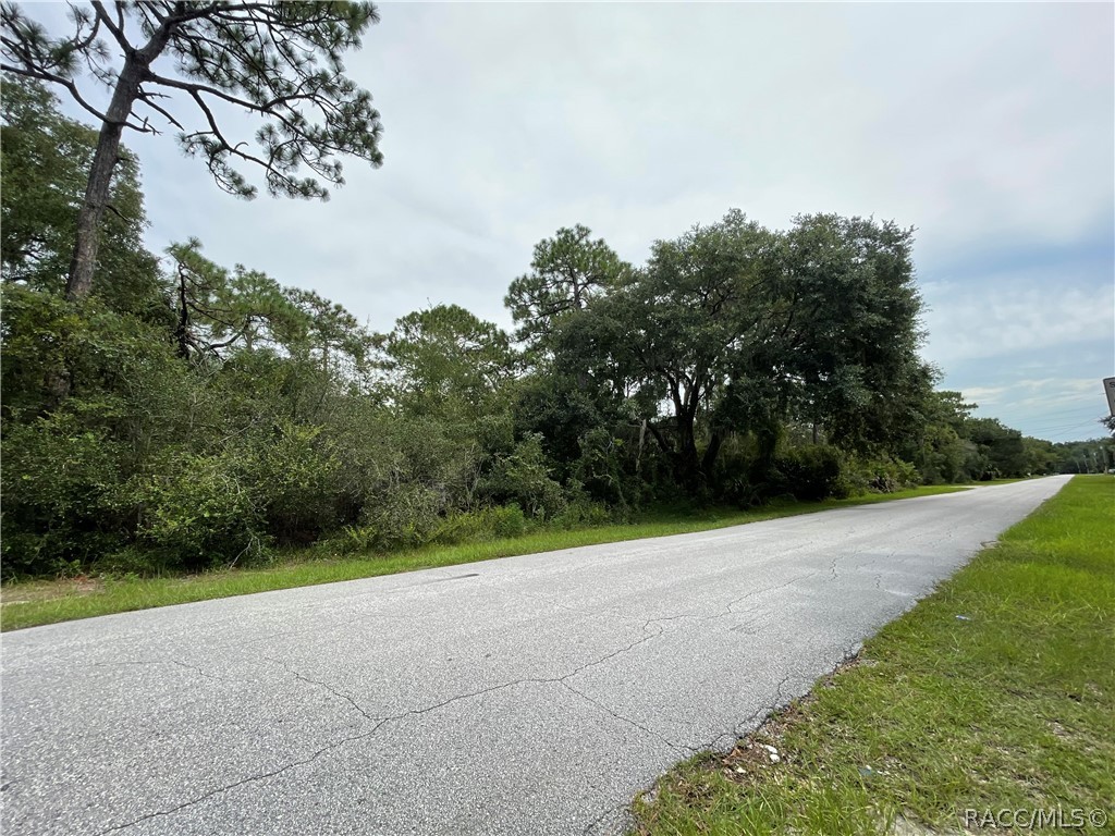 0 West Highway 40 West Inglis, FL 34449 - Photo 6 of 6