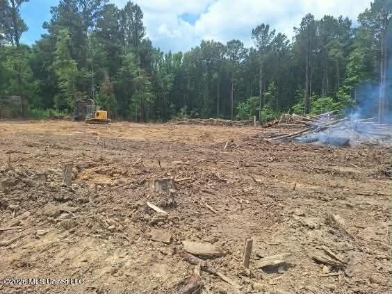709 Old Pinola Braxton Road Braxton, MS 39044 - Photo 6 of 13 2d257f5e-6f93-4dc3-8d50-7476a4de36da