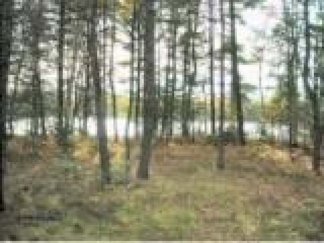 6705 Spider Lane Mercer, WI 54547 - Photo 3 of 8 Gallery Image 3