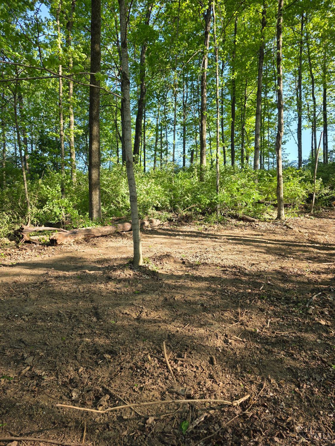 11965 Stone Mill Road Cincinnati, OH 45251 - Photo 1 of 9 Gallery Image 1