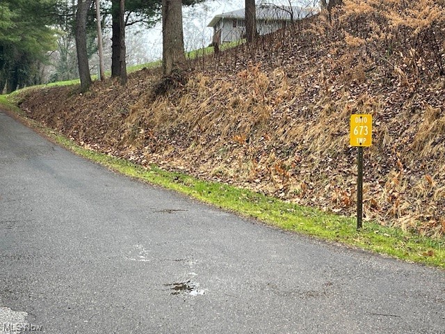 52279 Bares Run Road Hannibal, OH 43931 - Photo 10 of 17 View of street