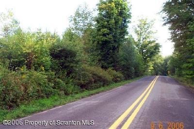 St Tikhon's Rd/curtis Pond Road Waymart, PA 18472 - Photo 1 of 3 ROAD FRONTAGE