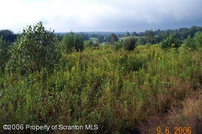 St Tikhon's Rd/curtis Pond Road Waymart, PA 18472 - Photo 2 of 3 VIEW