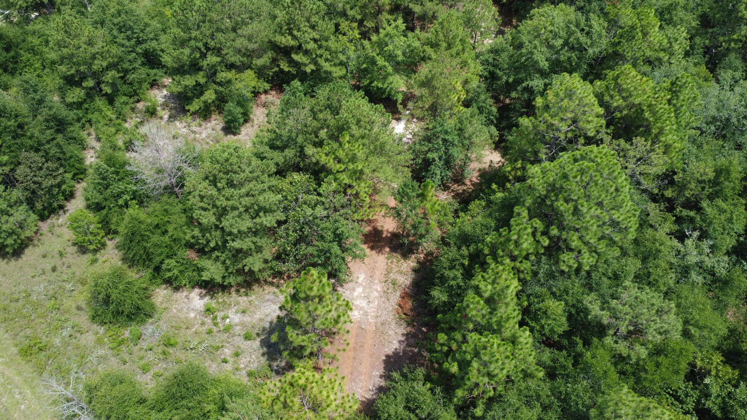 2252 Windsor Road Springfield, SC 29146 - Photo 14 of 19 Gallery Image 14