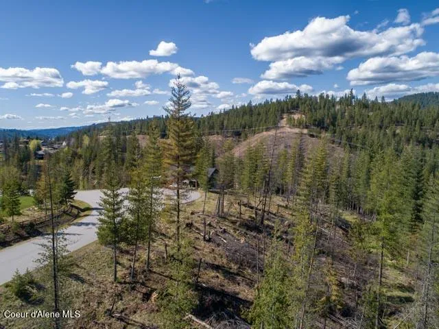 $699,000 | 106 Blazing Saddle, Smelterville, ID 83868
