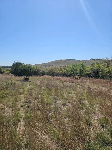 a view of a large yard with lots of bushes