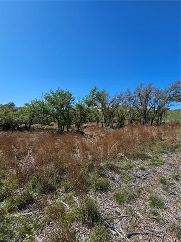 a view of a large garden with plants and trees in the background