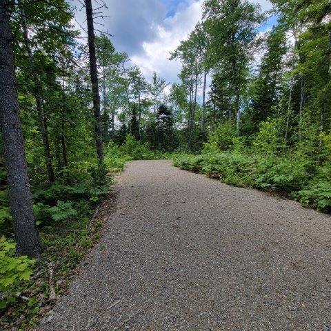 T4 Wadleigh Pond Road Millinocket, ME 04462 - Photo 19 of 38 Driveway