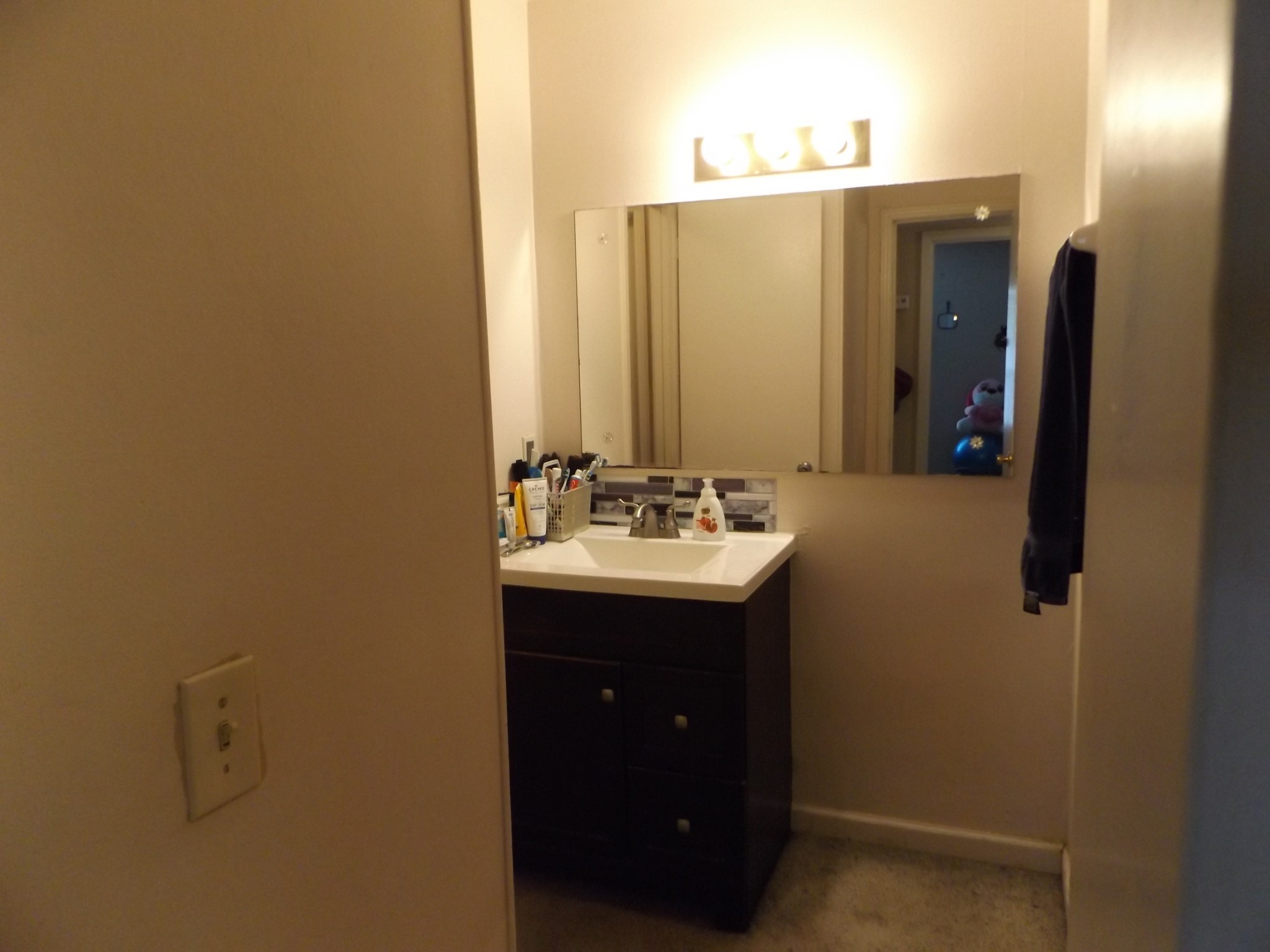 500 Paragon Mills Road, Unit N5 Nashville, TN 37211 - Photo 9 of 12 a bathroom with a sink and a mirror