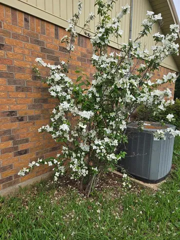 a view of outdoor space and yard