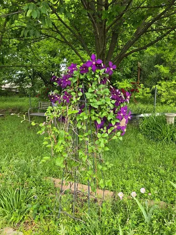 a backyard of a house with table and chairs a barbeque