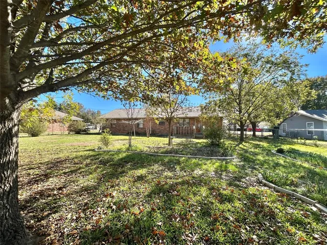 a view of a yard with a tree