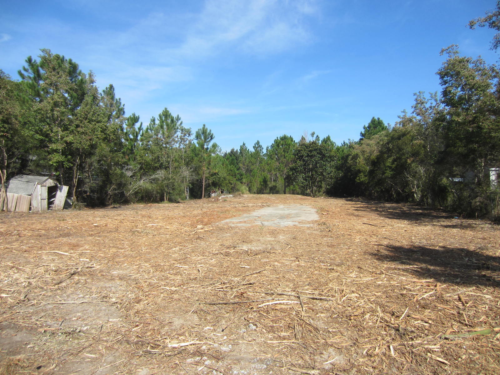 69 West Nursery Road Santa Rosa Beach, FL 32459 - Photo 5 of 6 a backyard of a house with lots of green space
