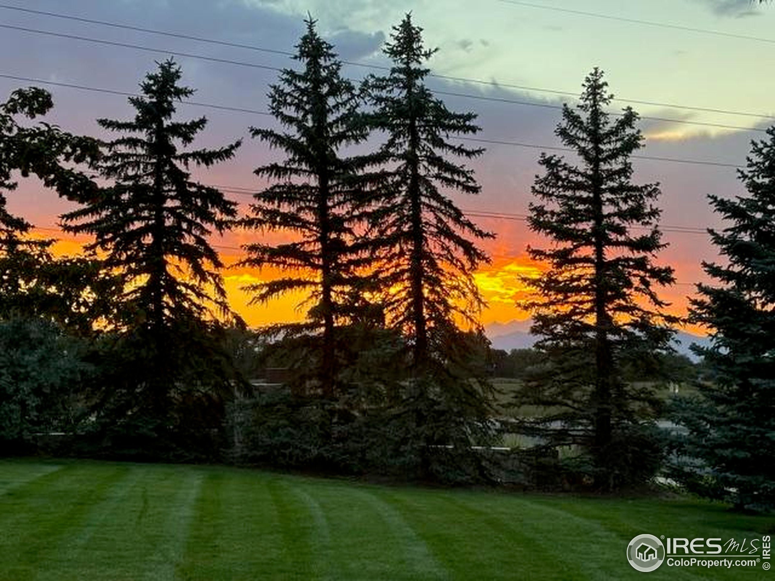 2408 Concord Circle Lafayette, CO 80026 - Photo 29 of 49 a view of yard from a lake