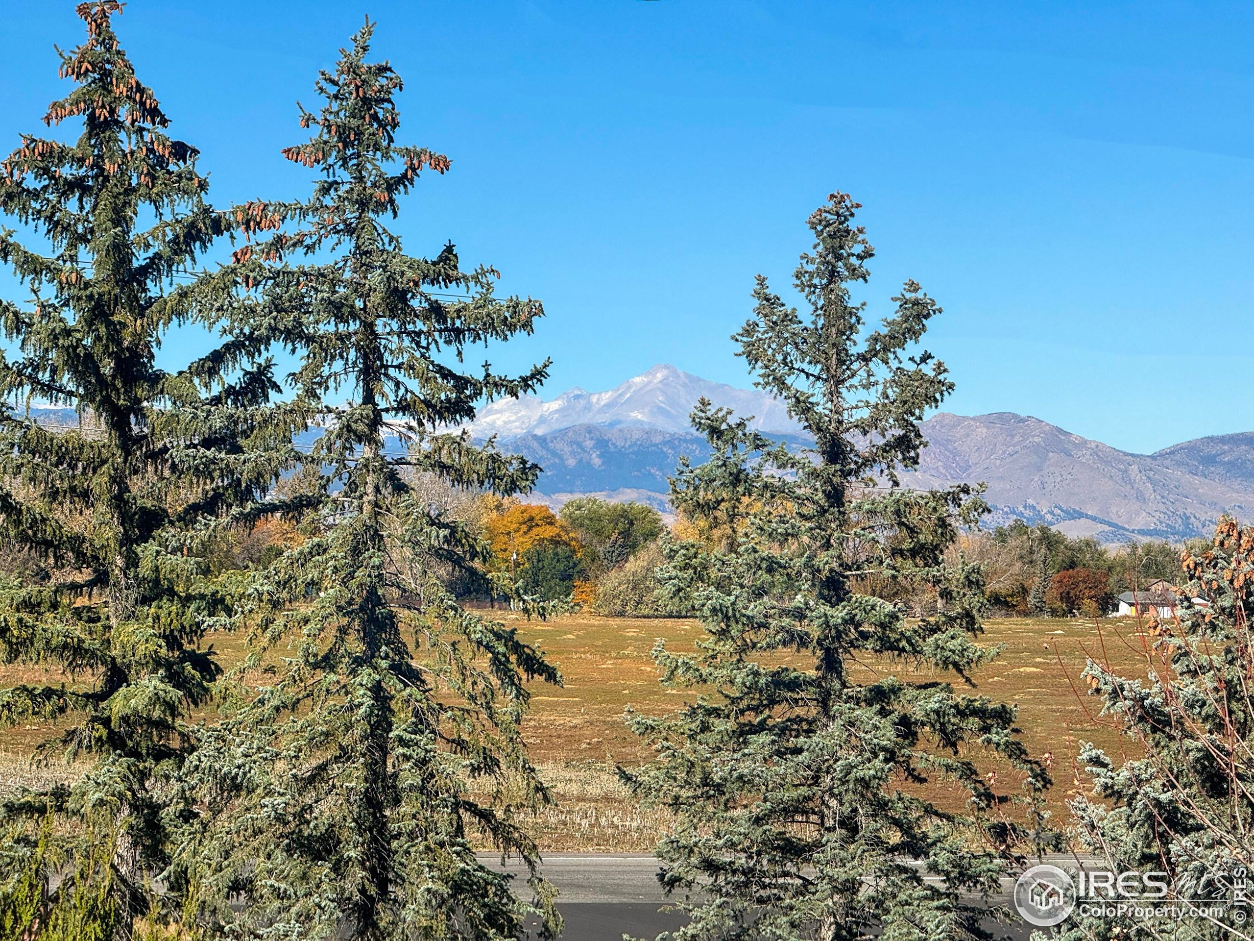 2408 Concord Circle Lafayette, CO 80026 - Photo 30 of 49 a view of a forest with a mountain