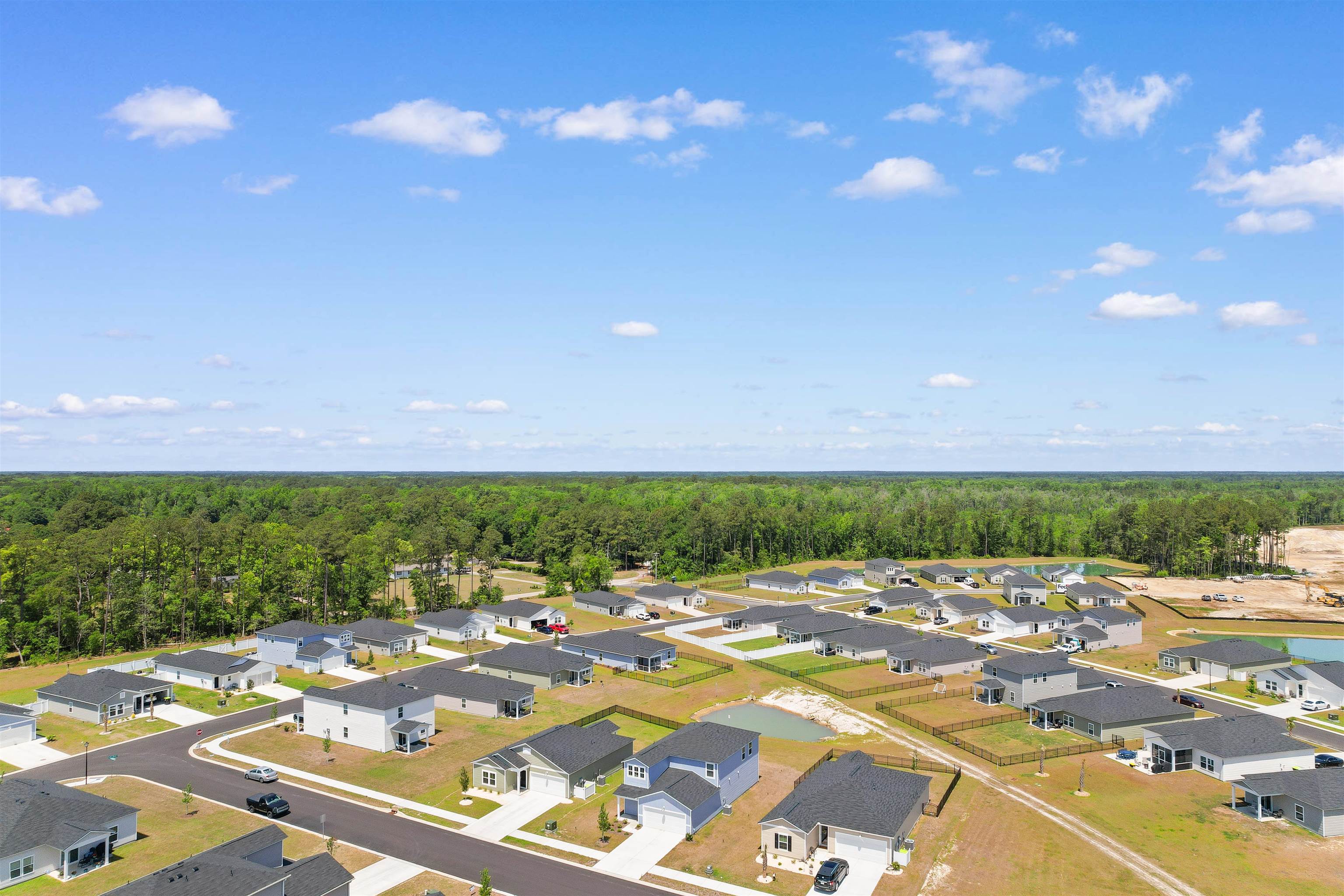 1209 Patchouli Loop Longs, SC 29568 - Photo 41 of 53