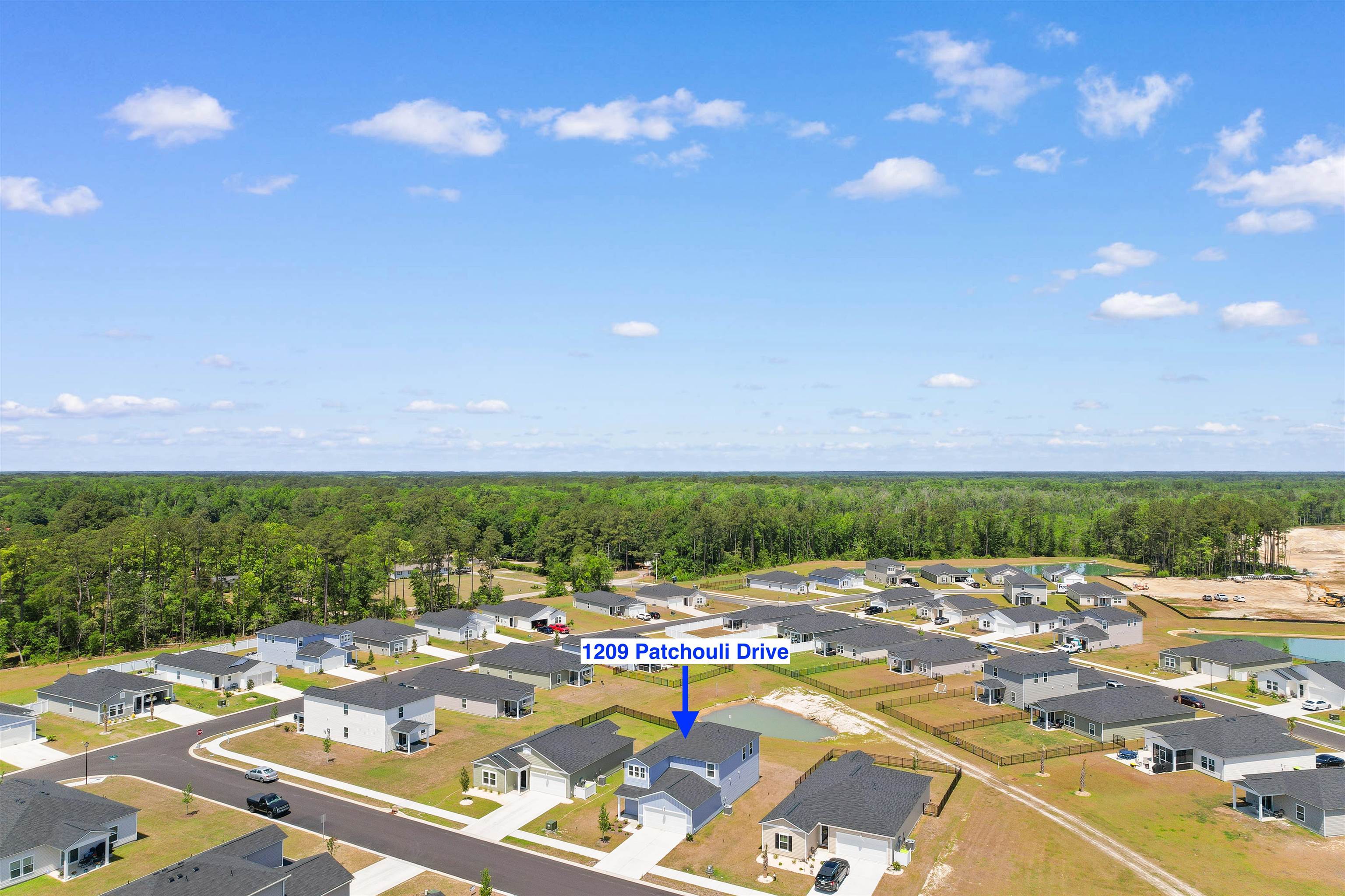 1209 Patchouli Loop Longs, SC 29568 - Photo 42 of 53