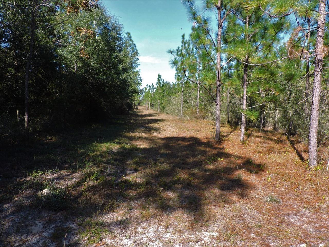 6 Wolf Track Ridge Crestview, FL 32539 - Photo 5 of 6 w2