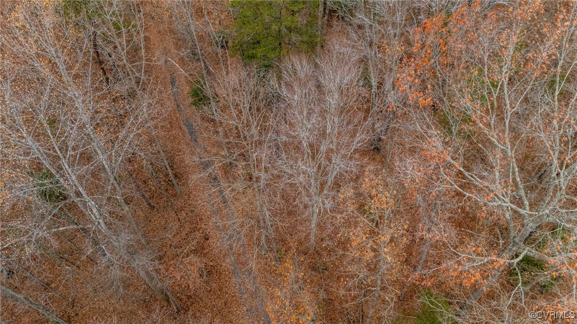 3695 Springfield Road Goochland, VA 23063 - Photo 15 of 19 Gallery Image 15