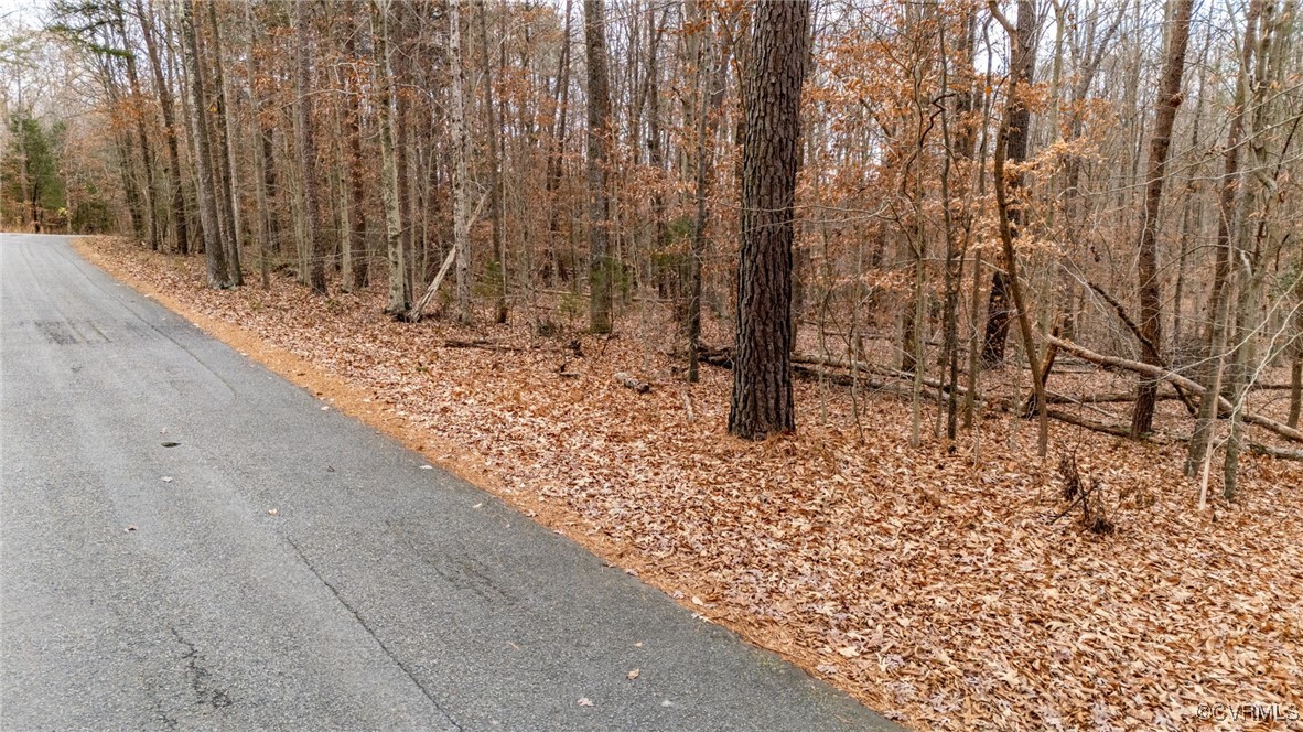 3695 Springfield Road Goochland, VA 23063 - Photo 16 of 19 Gallery Image 16