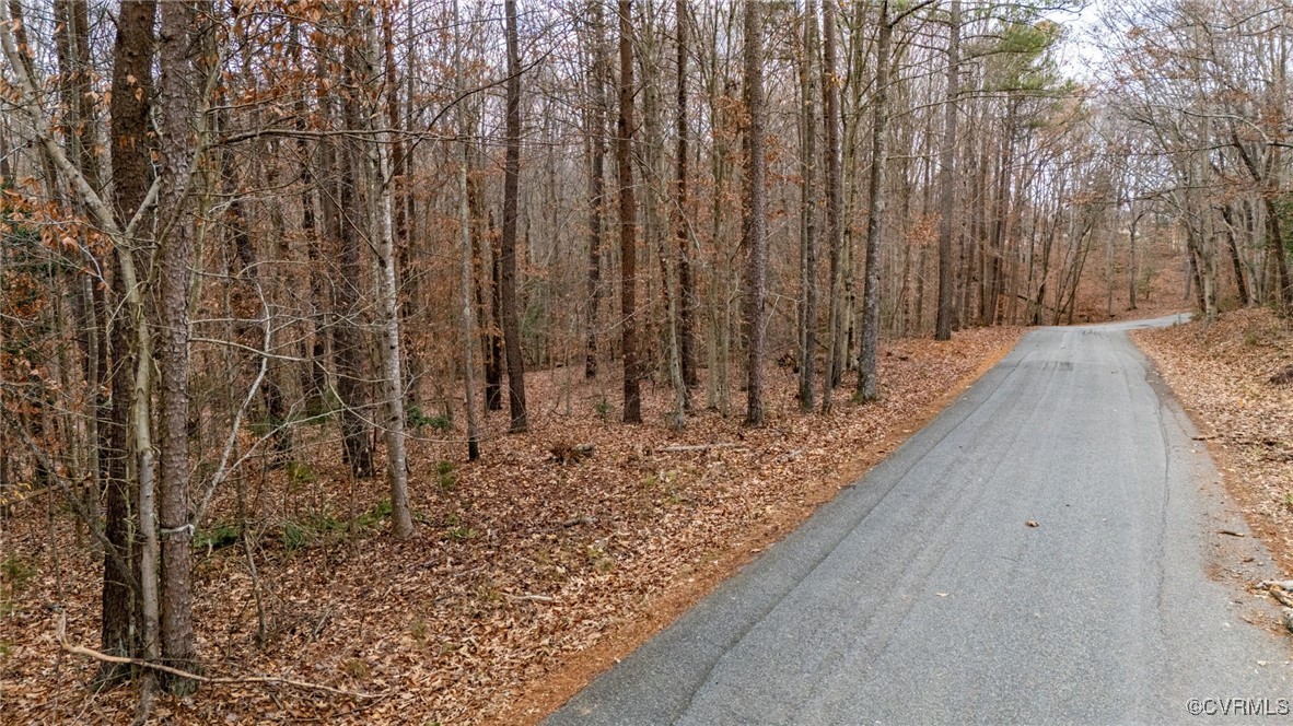3695 Springfield Road Goochland, VA 23063 - Photo 18 of 19 Gallery Image 18