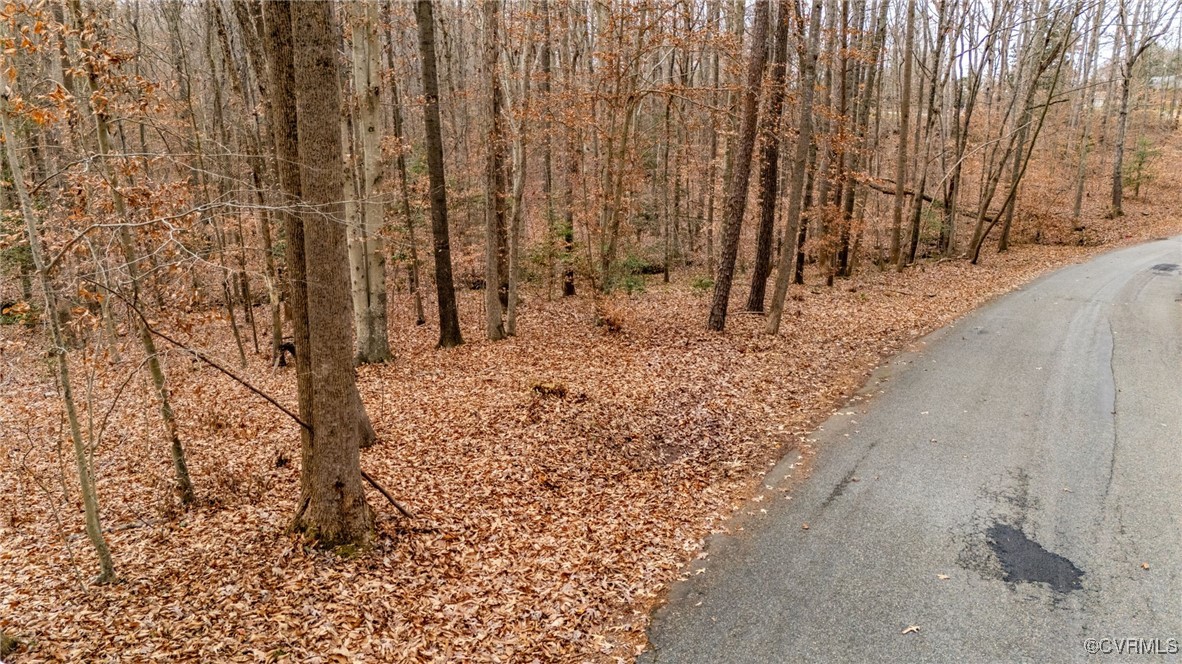 3695 Springfield Road Goochland, VA 23063 - Photo 2 of 19 Gallery Image 2