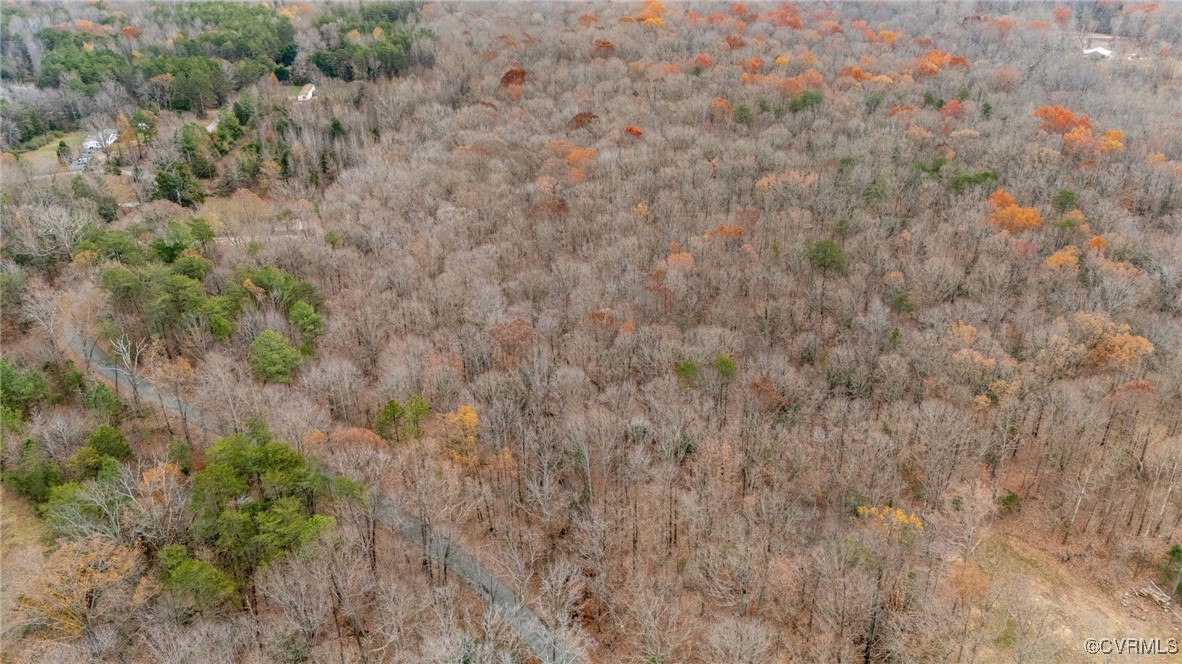 3695 Springfield Road Goochland, VA 23063 - Photo 3 of 19 Gallery Image 3