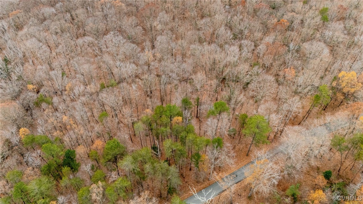 3695 Springfield Road Goochland, VA 23063 - Photo 8 of 19 Gallery Image 8