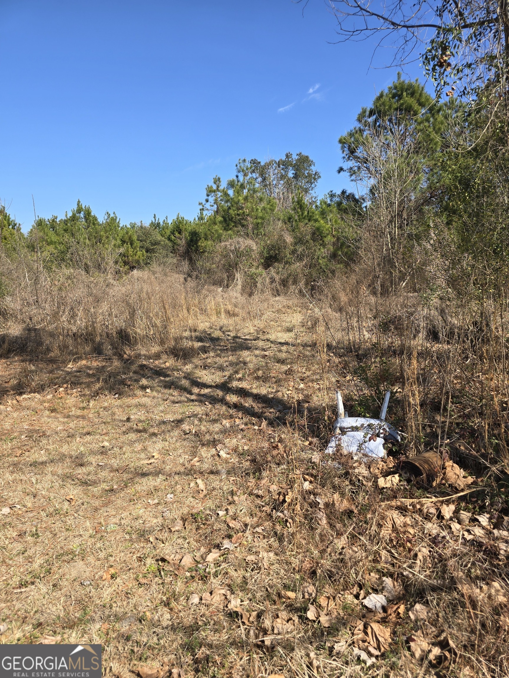 597 Fordham Road Brooklet, GA 30415 - Photo 2 of 2 a view of a yard with a tree