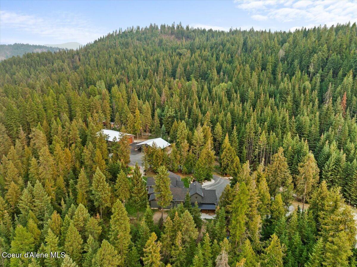 529 South Beaver Lake Road Athol, ID 83801 - Photo 11 of 85 Aerial back of home