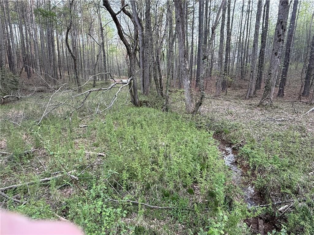 0 Henderson Mountain Road Fairmount, GA 30139 - Photo 12 of 15