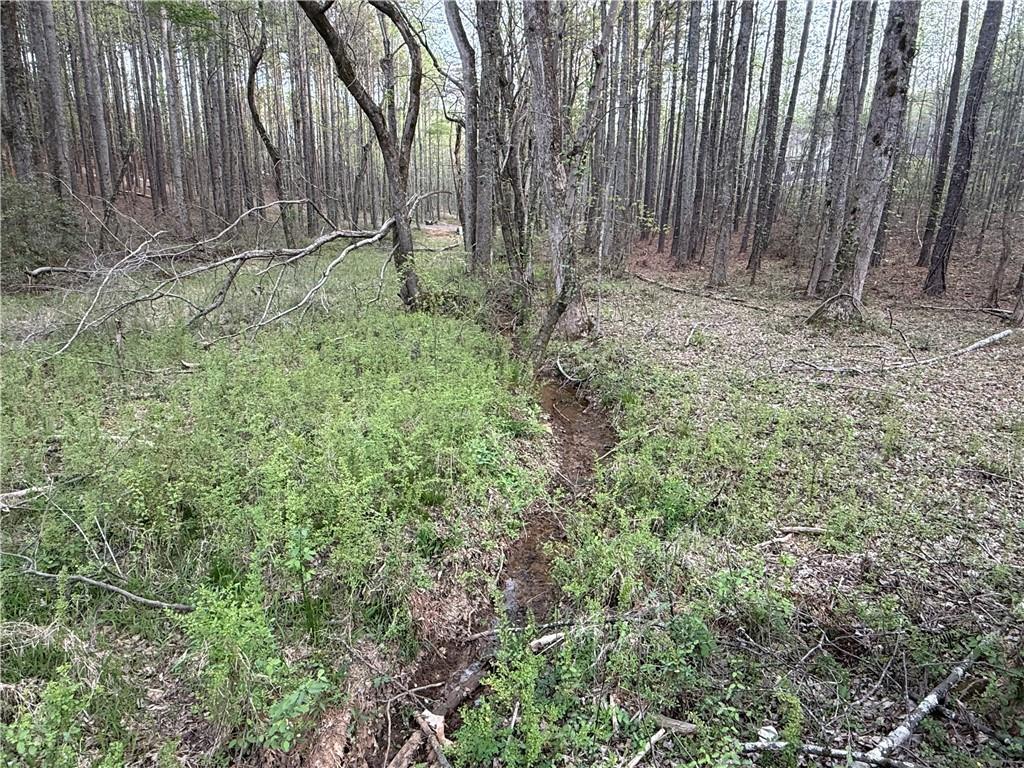 0 Henderson Mountain Road Fairmount, GA 30139 - Photo 13 of 15