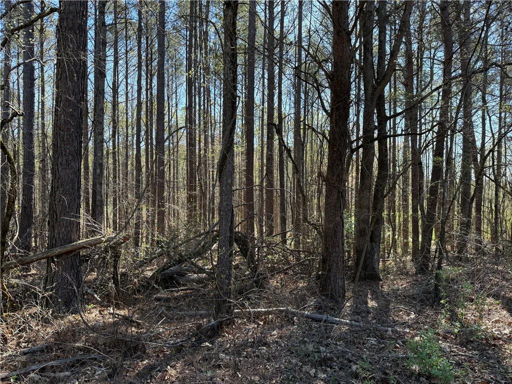 0 Henderson Mountain Road Fairmount, GA 30139 - Photo 2 of 15 a view of forest
