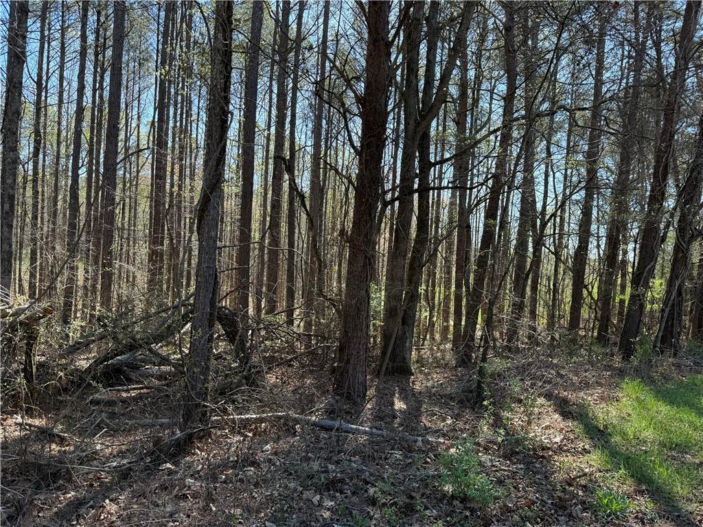 0 Henderson Mountain Road Fairmount, GA 30139 - Photo 3 of 15 a view of backyard with green space