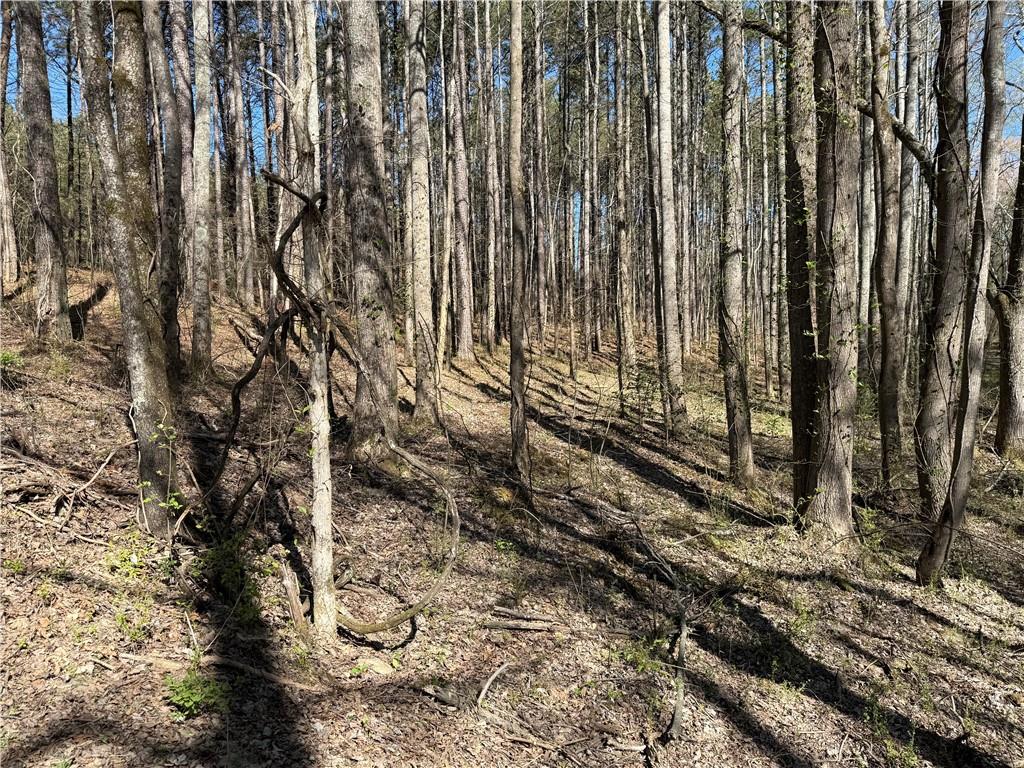 0 Henderson Mountain Road Fairmount, GA 30139 - Photo 5 of 15 a view of a backyard of a house