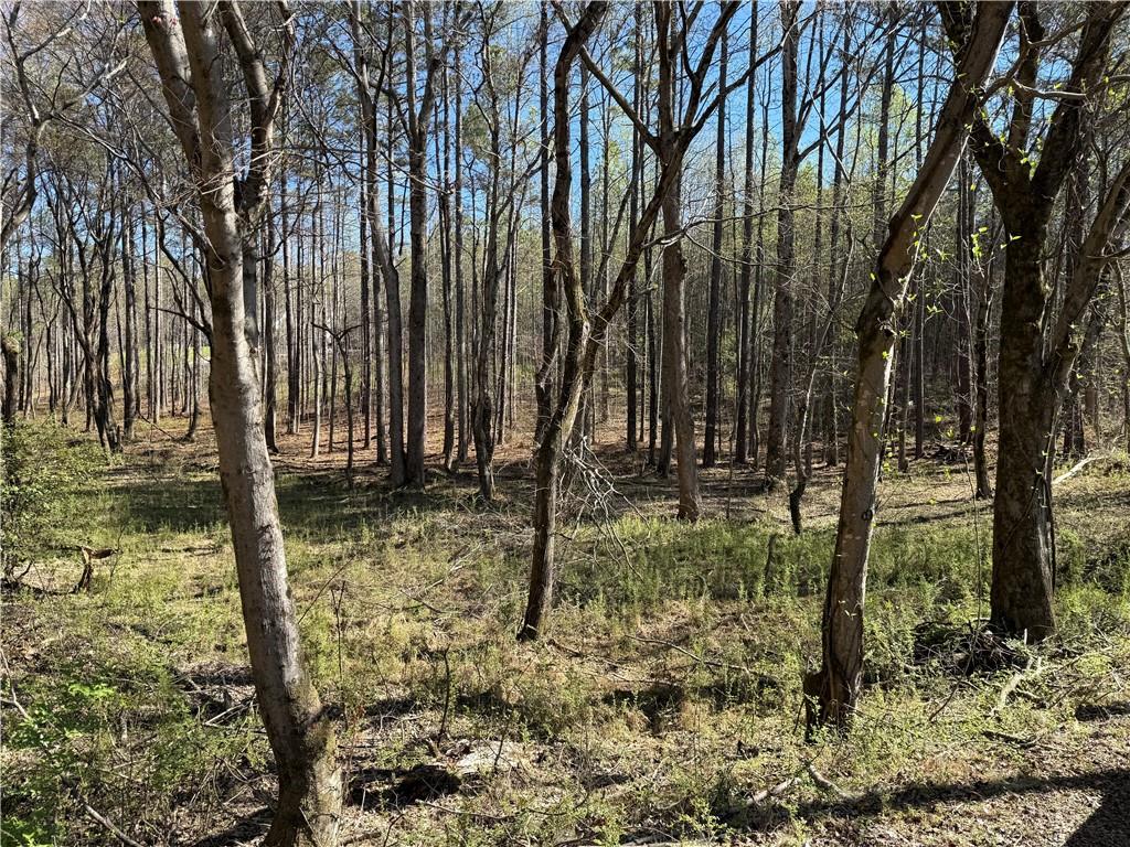 0 Henderson Mountain Road Fairmount, GA 30139 - Photo 6 of 15 a backyard of a house with lots of green space