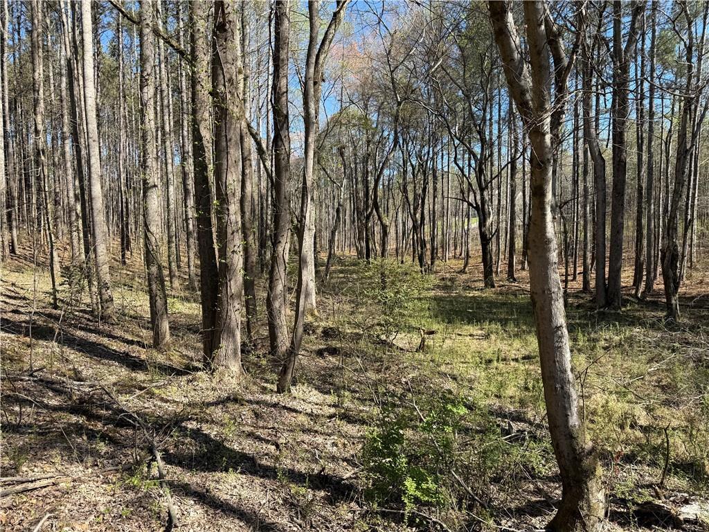 0 Henderson Mountain Road Fairmount, GA 30139 - Photo 7 of 15