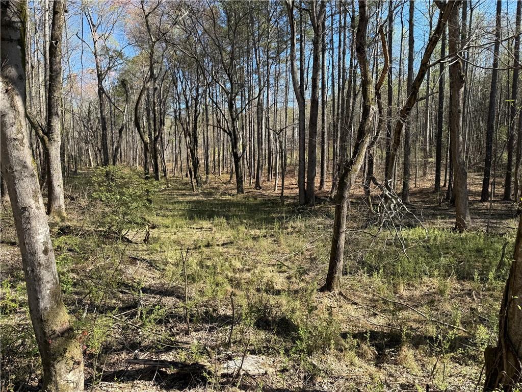 0 Henderson Mountain Road Fairmount, GA 30139 - Photo 8 of 15 a view of a yard with trees