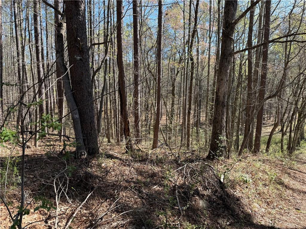 0 Henderson Mountain Road Fairmount, GA 30139 - Photo 9 of 15 a view of outdoor space with lots of trees