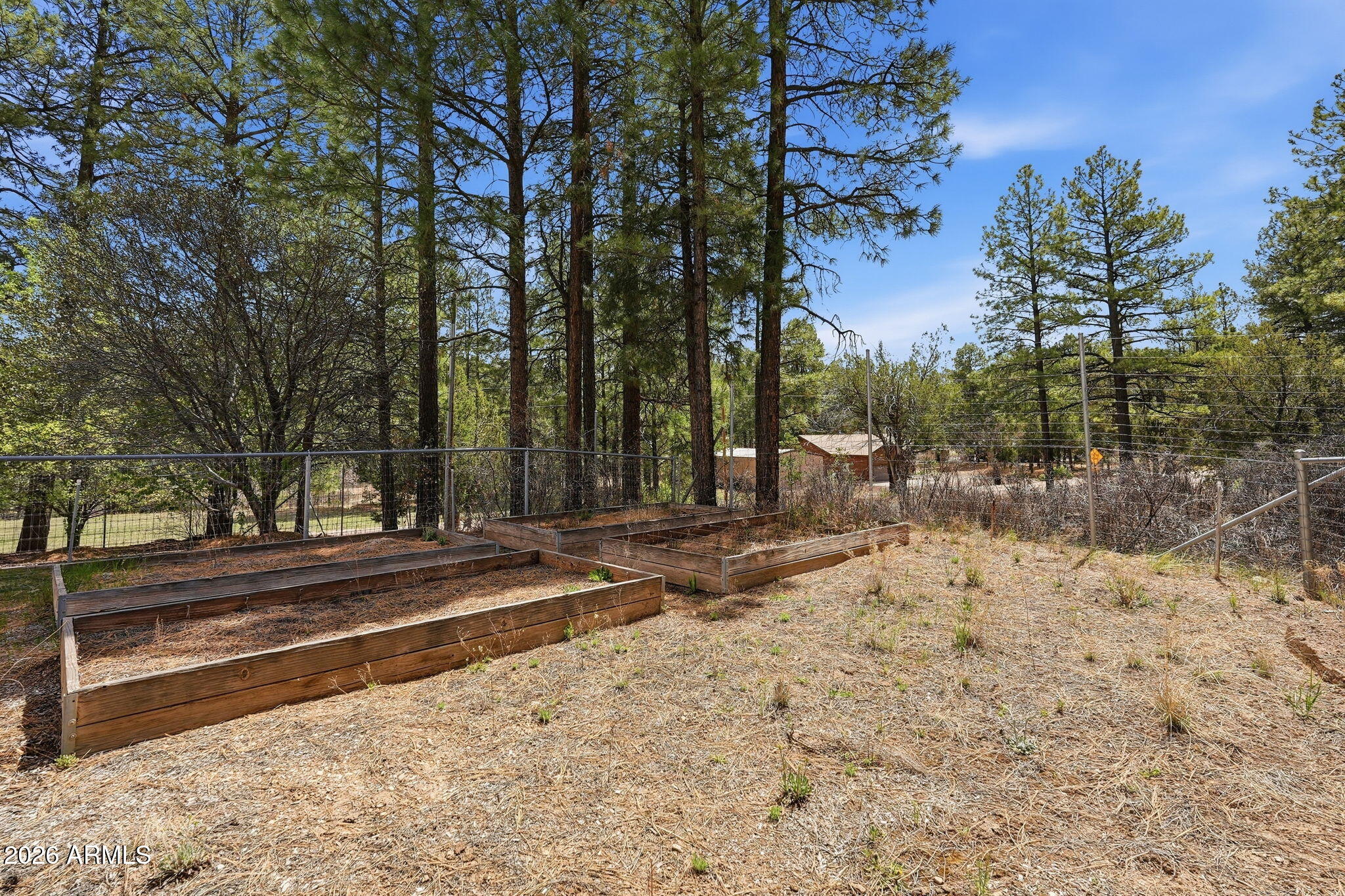 3318 Black Canyon Road Heber, AZ 85928 - Photo 62 of 80 Surround of home