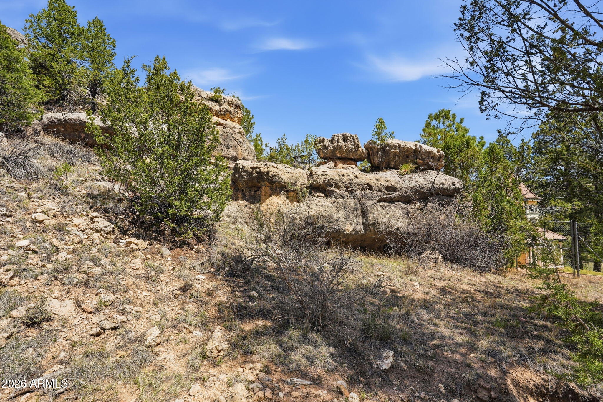 3318 Black Canyon Road Heber, AZ 85928 - Photo 67 of 80 Surround of home