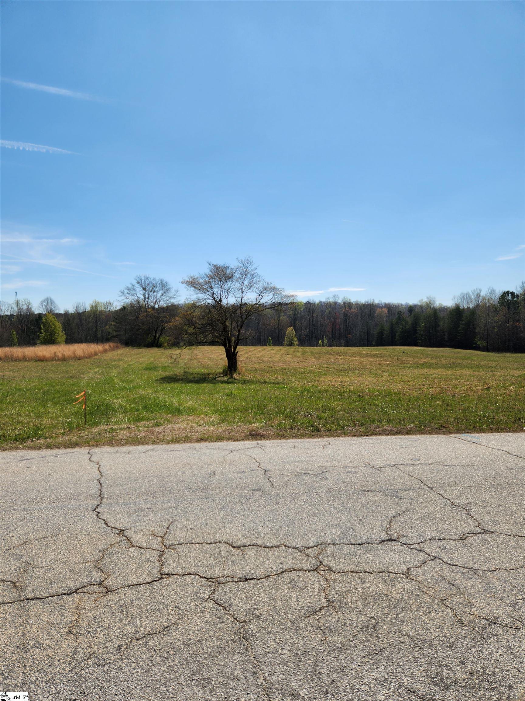 132 East Bowers Road Travelers Rest, SC 29690 - Photo 3 of 10