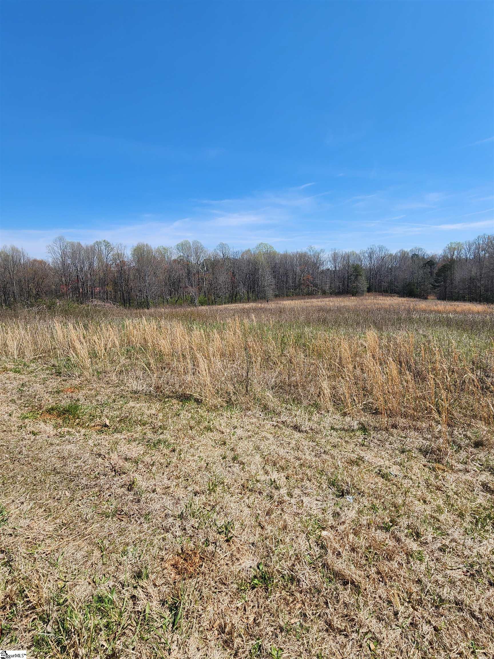 132 East Bowers Road Travelers Rest, SC 29690 - Photo 5 of 10
