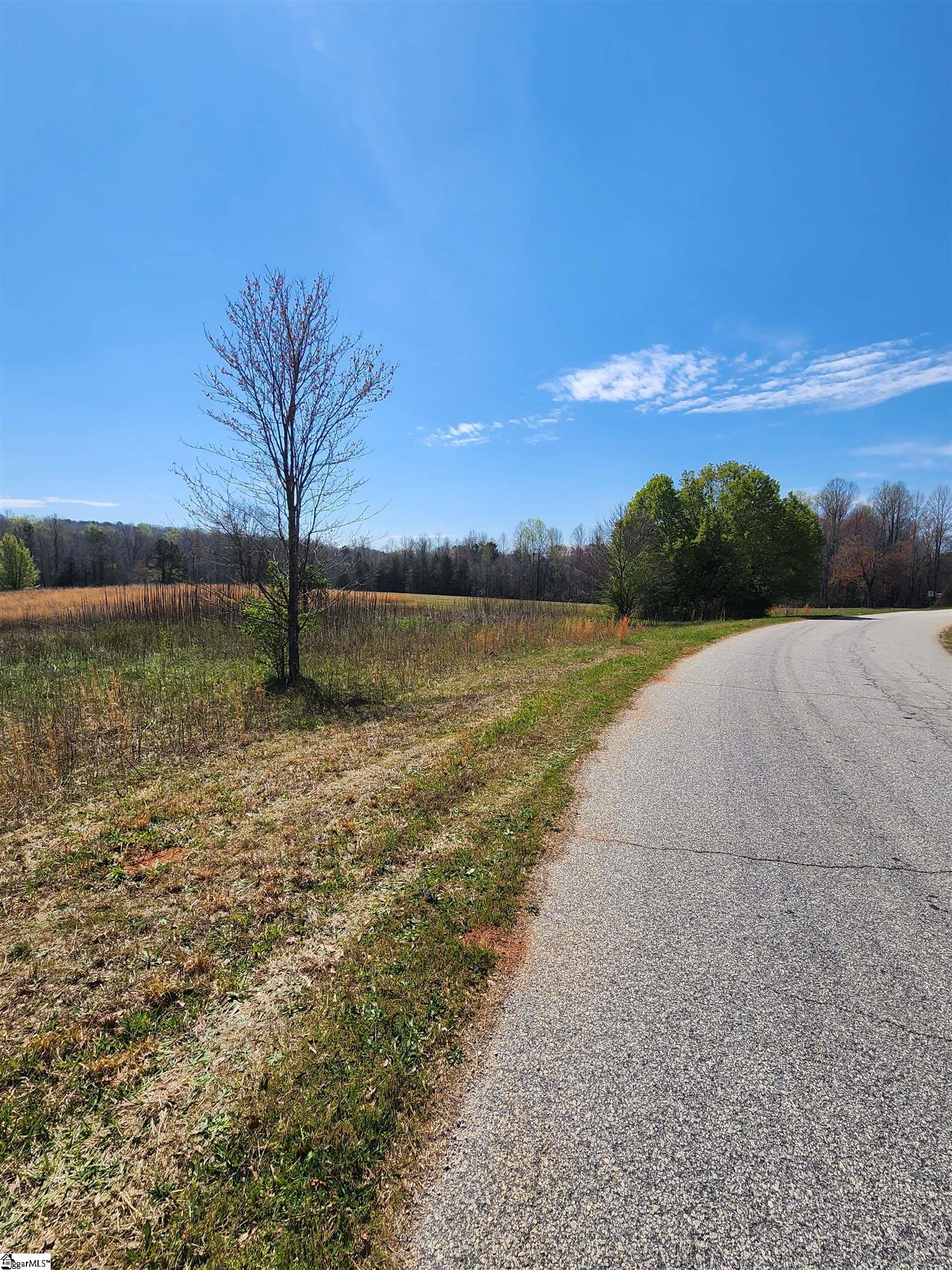 132 East Bowers Road Travelers Rest, SC 29690 - Photo 7 of 10