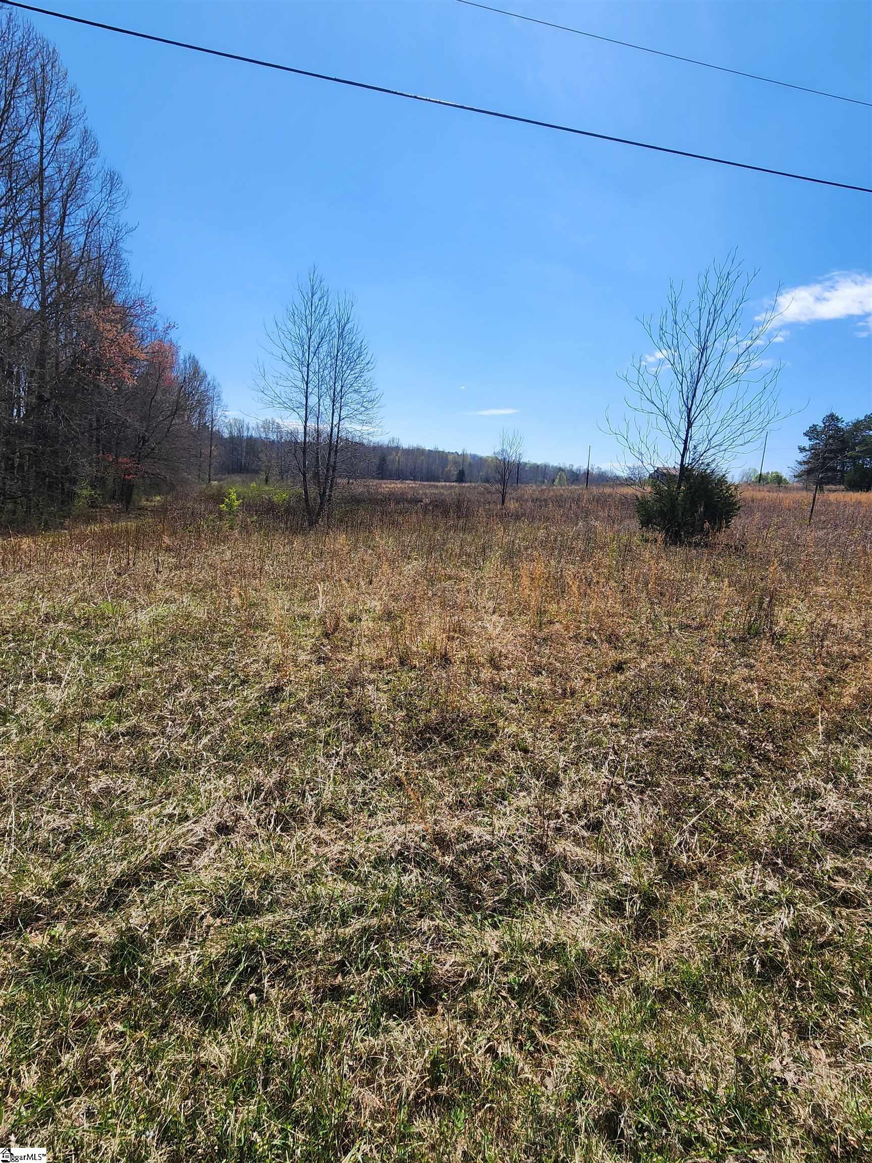 132 East Bowers Road Travelers Rest, SC 29690 - Photo 8 of 10