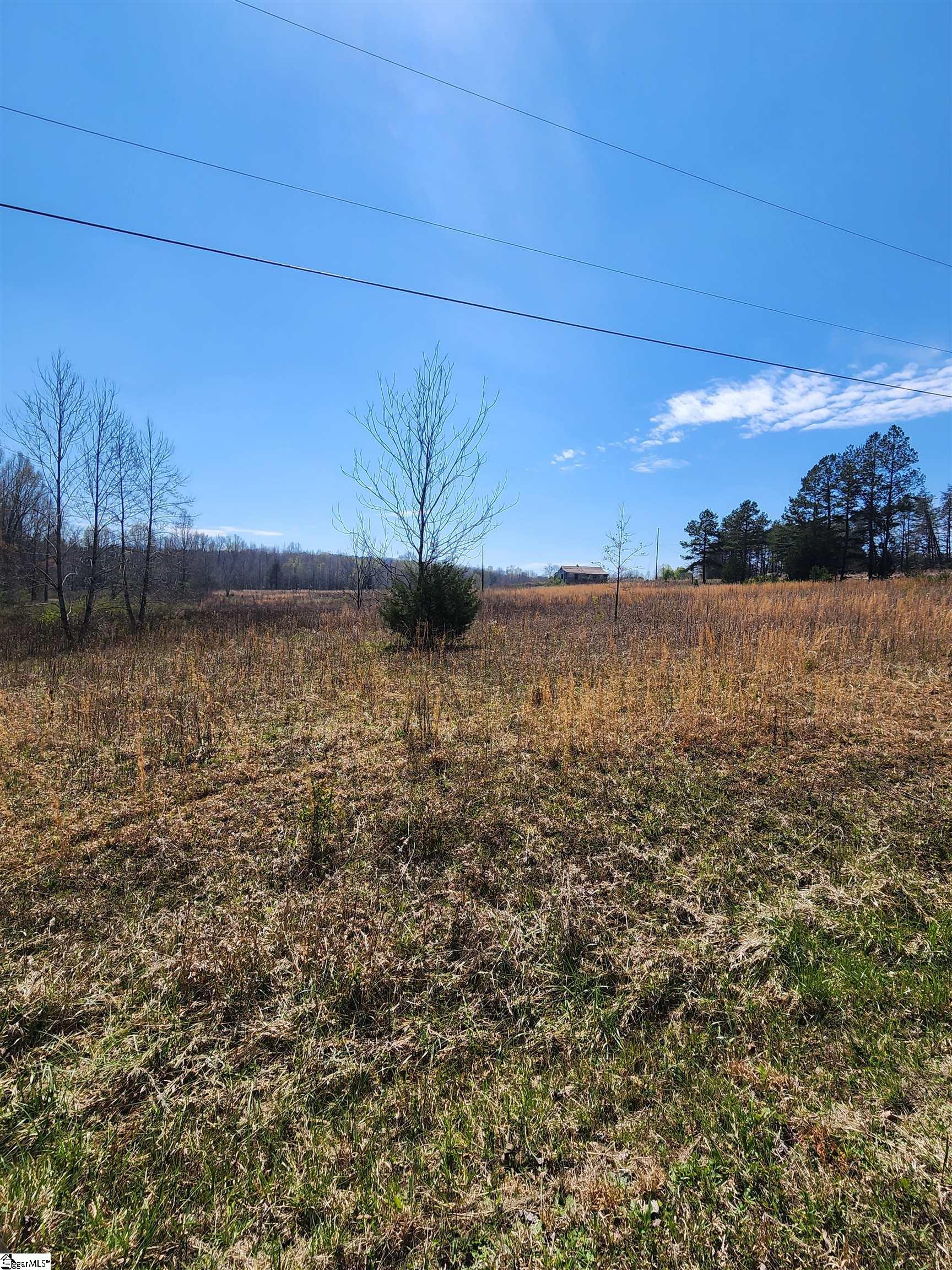 132 East Bowers Road Travelers Rest, SC 29690 - Photo 9 of 10